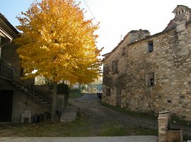 Autunno a Fontana (17022 bytes)